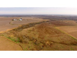 Property photo 16 - MAJOR ILLINOIS LAND AUCTION - 809+/- ACRES IN 12 TRACTS IN PIATT COUNTY, ILLINOIS